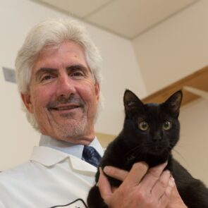 Michael Lappin, Professor of Clinical Sciences, with a cat at the Veterinary Teaching Hospital. June 13, 2014